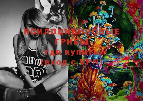 сатива Вязники