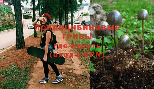 сатива Вязники