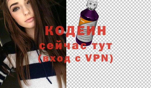меф Вяземский