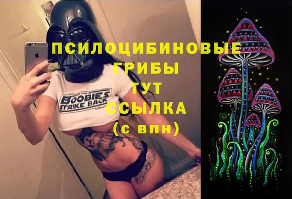 меф Вяземский