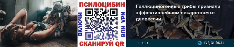 Галлюциногенные грибы MAGIC MUSHROOMS  Инза 